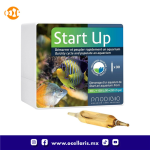 Start Up - Bacteria - 30 ampolletas