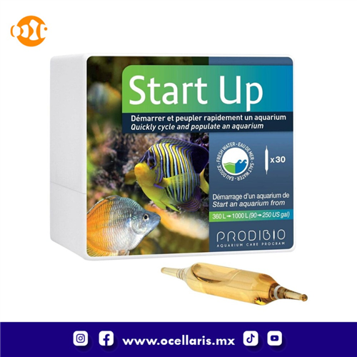 Start Up - Bacteria - 30 ampolletas