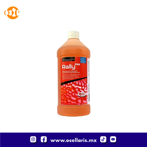 Rally Pro - 8 oz