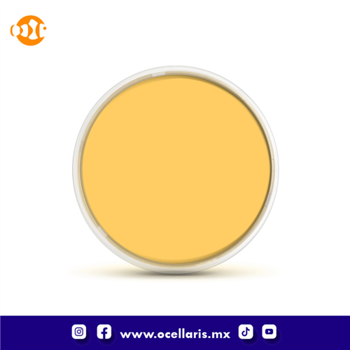 Flipper DeepSee Orange Lens Filter - 5 Pulgadas - Transparente