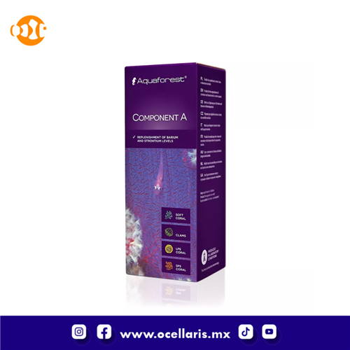 AF Component A  -  250ml