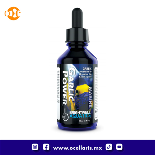 Garlic Power  -  Suplemento de Ajo  -  60ml