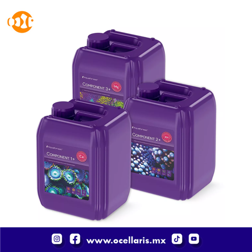 AF Component 1+, 2+, 3+ - 3 x 5 Litros