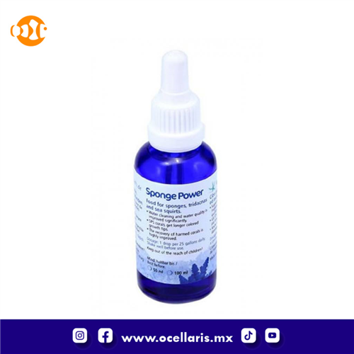 Sponge Power Concentrado - 100 ml