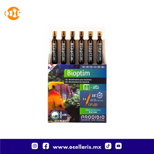 Bioptim - Alimento bacteria - 6 ampolletas