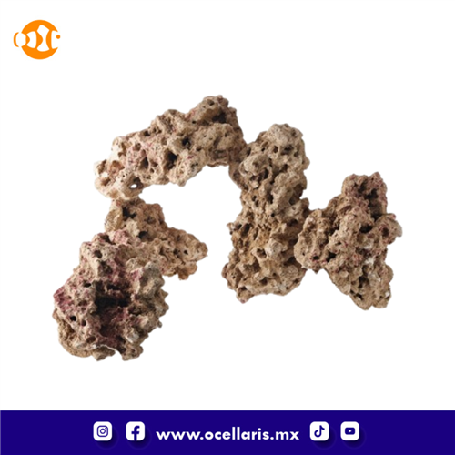 CaribSea Moani Dry Live Rock - 40 Lbs