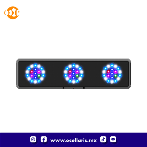 Thor Pro G4 - Marine