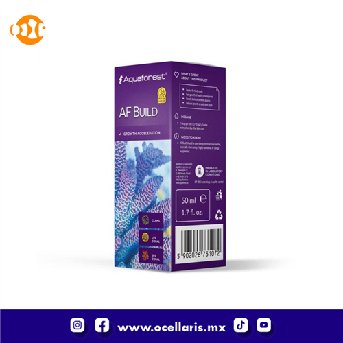AF Build  -  50ml