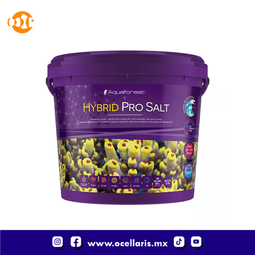 AF Hybrid Pro Salt  -  22Kg
