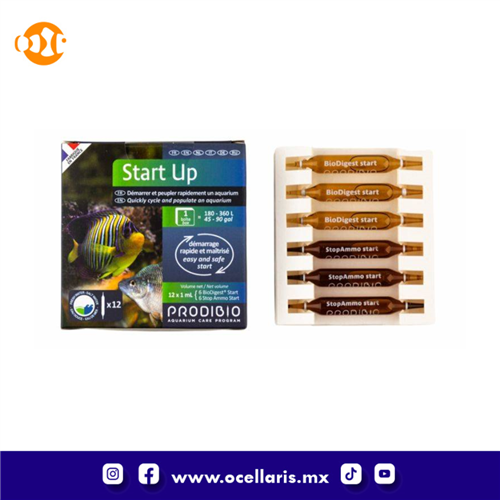 Start Up - Bacteria - 12 ampolletas