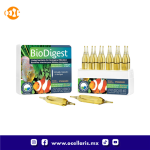 BioDigest - Bacteria - 12 ampolletas