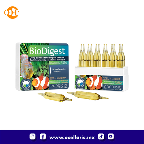 BioDigest - Bacteria - 12 ampolletas