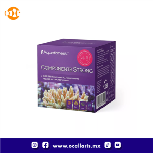 AF Components Strong – 4 piezas de 75ml