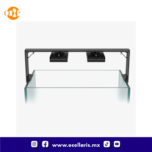 HMS Double Arm Mounting